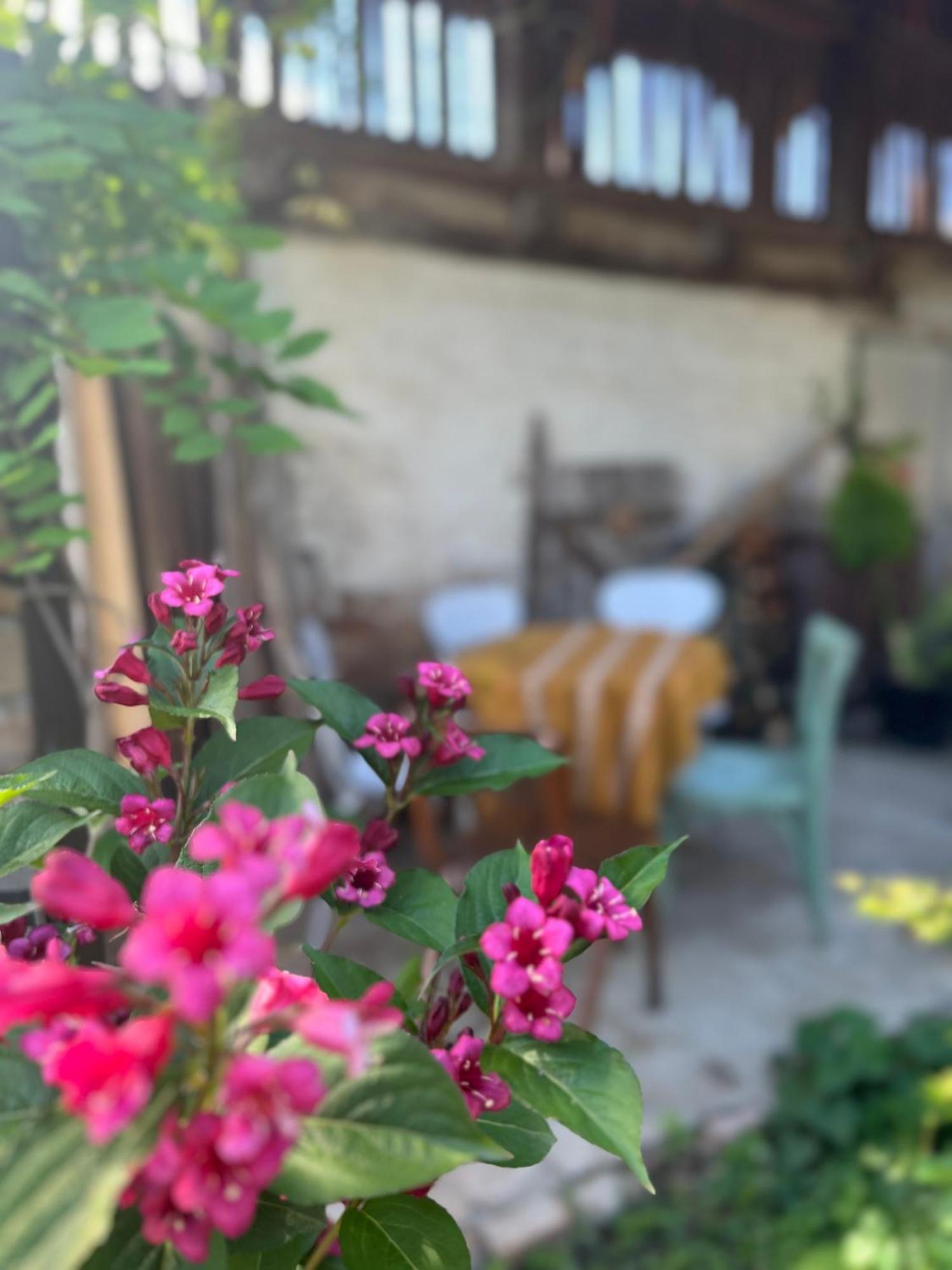 Tradicionalna Kuca Biljkinog Oca Lug Exterior foto
