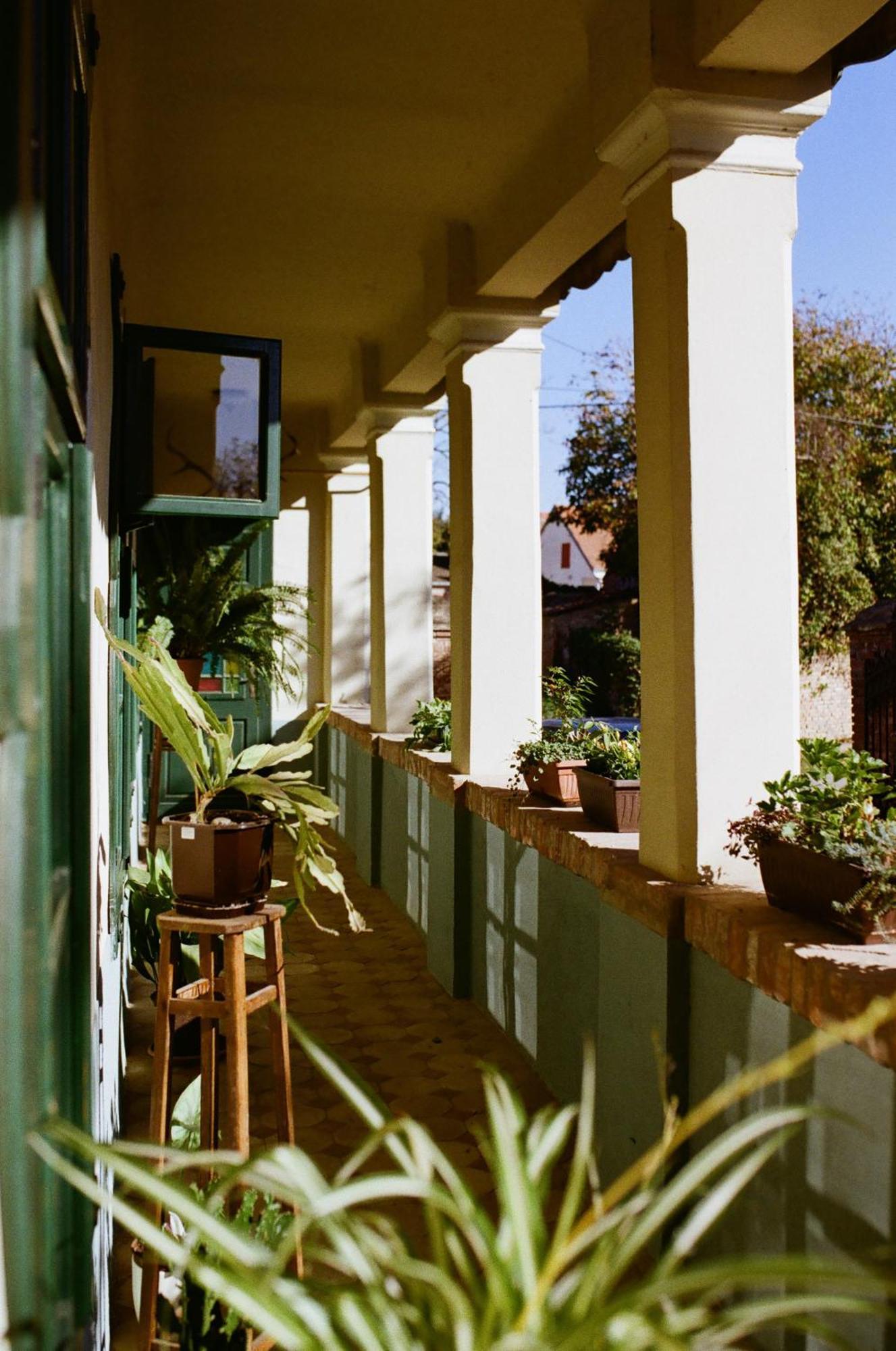 Tradicionalna Kuca Biljkinog Oca Lug Exterior foto