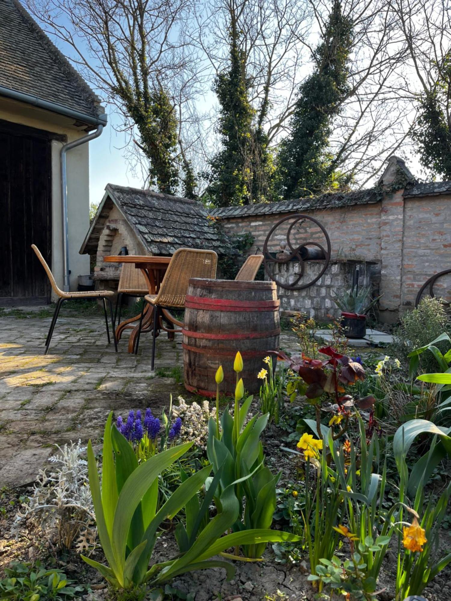 Tradicionalna Kuca Biljkinog Oca Lug Exterior foto